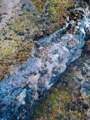 Nature Textures on Coastal Ground