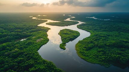 Majestic view of the Amazon River curving through lush rainforests a vibrant ecosystem reflecting sunrise colors with