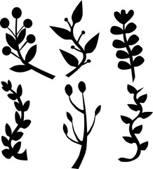 Gałązki i liście – botaniczna ilustracja wektorowa © Laura