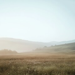 A soft, muted landscape with gentle light and subtle color differences, showcasing low contrast