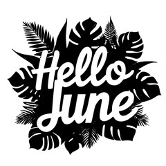 Hello June Lettering with tropical leaves