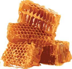vector honeycomb on white background