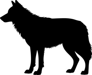 Wolf silhouette and line art vector design