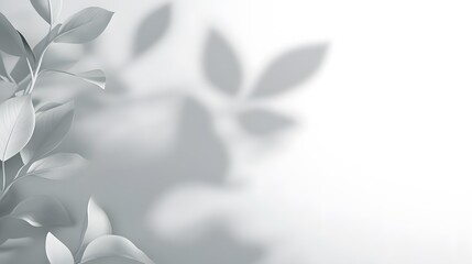 Elegant Gray Plant Leaves and Shadow Background