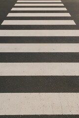 Fototapeta premium pedestrian crossing on the street