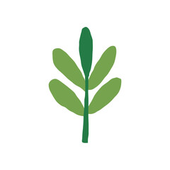 Hand drawn vector illustration of a simple green plant with elongated leaves and a straight stem. The design is minimalistic and suitable for various uses.