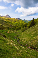 Fototapeta premium Stream forming the valley of the Jordanne near its source