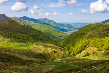 Fototapeta premium Verdant panorama of the Monts du Cantal from the top of the Jordanne Valley
