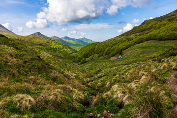 Obraz premium Stream forming the valley of the Jordanne near its source