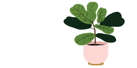 A digitally rendered image showcases an indoor plant with large, lush green leaves potted in a stylish pot, perfect for adding a touch of nature to an indoor space.