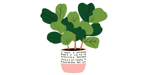 A healthy vibrant plant grows in a decorative pot. Its large green leaves and neat lines evoke a sense of tranquility, blending art and nature for a modern aesthetic.
