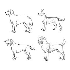 Various Dog Breeds Line Art