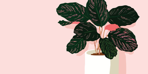A stylized illustration of a Calathea plant in a pot, showcasing its lush, patterned leaves against a minimalist, inviting pastel backdrop.
