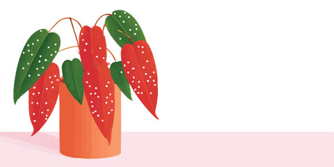 A vibrant potted begonia plant showcases its eye-catching, speckled foliage against a clean backdrop, symbolizing growth and natural beauty.