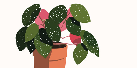 A minimalist illustration depicts a stylized polka-dot plant, its leaves in shades of green and pink, elegantly arranged in a terracotta pot.