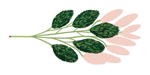 A delicate botanical illustration of stylized foliage showcasing the beauty of plant forms, depicting a graceful, symmetrical design. 