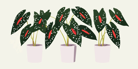 Vibrant potted plants of eye-catching green foliage, red patterns and delicate white spots, creating a captivating illustration in a stylized botanical arrangement. 
