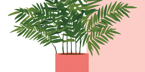 A vibrant, indoor palm in a stylish pot. Evoking a sense of fresh and green aesthetic. 