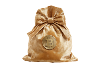 Gold velvet bag with Bitcoin symbol.