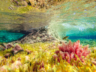Dark blue ocean surface seen from underwater. Abstract waves underwater and rays of sunlight shining through, Sun light rays undersea deep, Underwater background with sea bottom, Mediterranean sea.