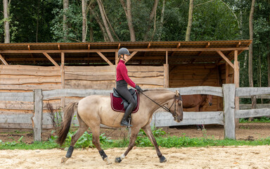 A young woman rides a Lusitano horse in the riding arena of a free-range stable. In the background are a wooden fence, a wooden horse shelter, and trees.