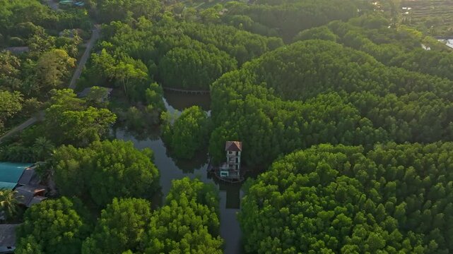 Drone shot of Salak Khok village and mangroves lit by sunset, Koh Chang, Thailand. Aerial drone video