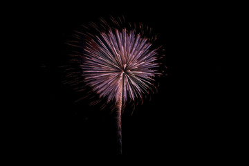 あの夏の日の想い出