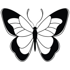 butterfly vector illustration