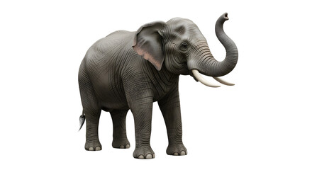 African elephant isolated on transparent background