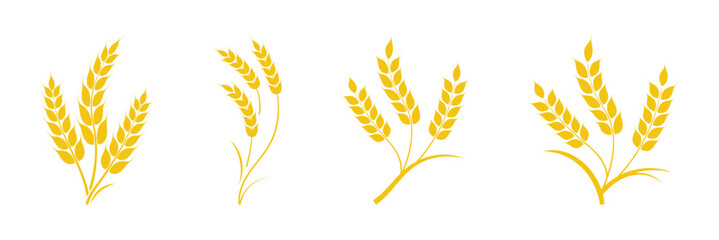 Ear of wheat, barley or rye. Wheat and cereal plant icons set. Wheat barley ears, oat isolated on white background.