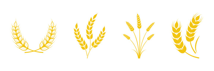 Ear of wheat, barley or rye. Wheat and cereal plant icons set. Wheat barley ears, oat isolated on white background.