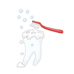 white background, personal hygiene procedure for cleaning the surface of the teeth from food debris and soft plaque, performed with a red toothbrush and toothpaste