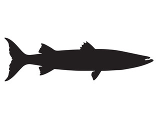 Barracuda Fish Silhouette