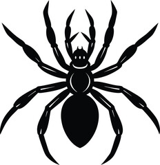Black Spider Silhouette Vector Illustration with Detailed Legs