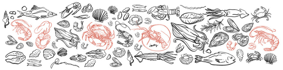 Isolated vector set of seafood. Shrimps, langoustines, prawns, salmon, trout, oysters, mussels, squid, crab, lemon.Hand-drawn seafood delicacy, restaurant and marine cafe menu.