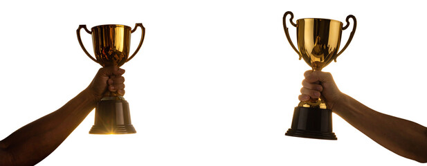  Silhouetted Arm Raising Golden Cup in Dramatic Lighting Transparent Background PNG