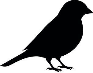 Black Bird Silhouette Clipart: High-Resolution Ornithology Vector Image for Wildlife, Nature, Avian Art, Graphic Design, Logos, Icons, Patterns, and Digital Illustration Projects
