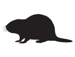 Beaver Silhouette White Background