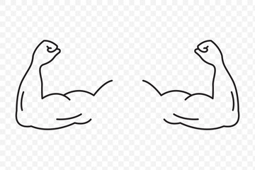 Muscle liner icon vector set. bodybuilding icon. Strong muscular arms vector icon on Transparent Background. EPS 10.