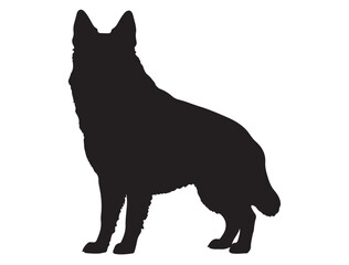 Belgian Shepherd Silhouette