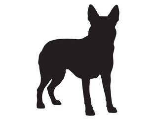 Belgian Malinois Dog silhouette 