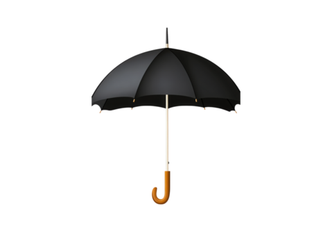 Umbrella on Display: This image captures a classic, black umbrella, a symbol of protection and style. The umbrella, with its clean lines and elegant design.