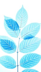 Obraz premium Photo of Translucent blue leaves with intricate vein patterns isolated on white background, showcasing delicate botanical details