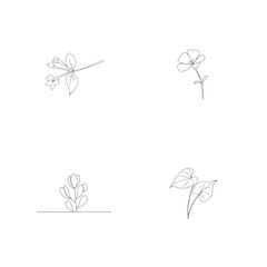 Delicate botanical line drawings collection featuring flowers and foliage with simple outlines
