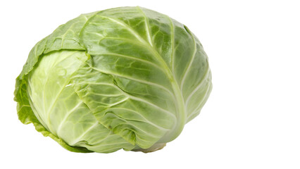 Obraz premium cabbage isolated on transparent background