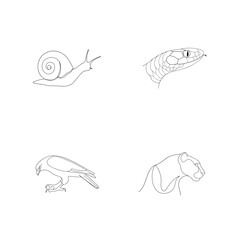 Minimalist line art illustrations of diverse animals including a snail snake eagle and panther