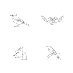 Outlined illustrations of various birds and lynx animals in minimalist black line art