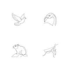 Simple outline drawings of various animals including dove flamingo squirrel and praying mantis