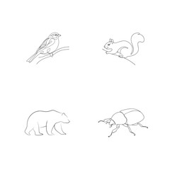 Simple line art illustration of animals including bird squirrel bear and beetle