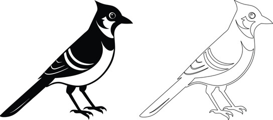 Cardinal Bird Illustration with Line Art and Silhouette Style